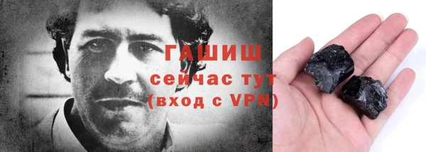 прущие грибы Новозыбков