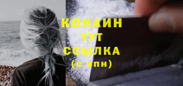 прущие грибы Новозыбков