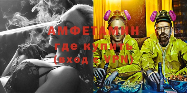 прущие грибы Новозыбков