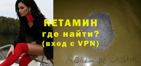 прущие грибы Новозыбков