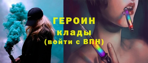 прущие грибы Новозыбков