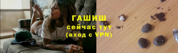 прущие грибы Новозыбков