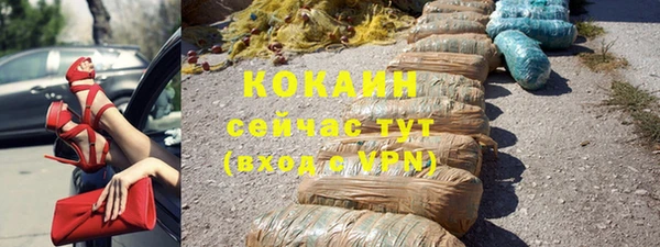 прущие грибы Новозыбков