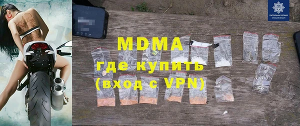 прущие грибы Новозыбков