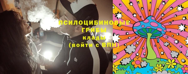 прущие грибы Новозыбков