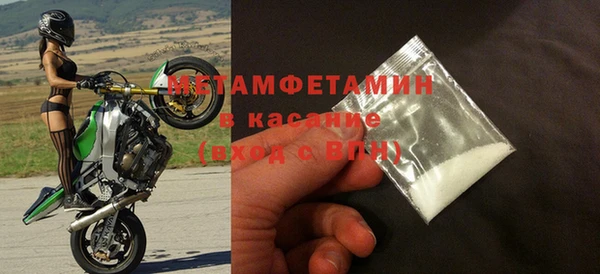 прущие грибы Новозыбков