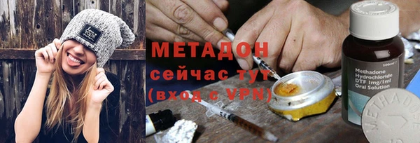 прущие грибы Новозыбков