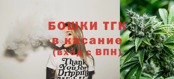 прущие грибы Новозыбков